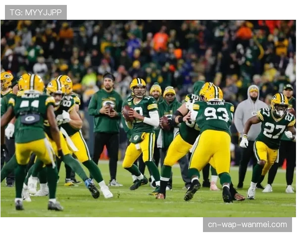 国联外卡争夺激烈 熊队与包装工胜场差仅半场